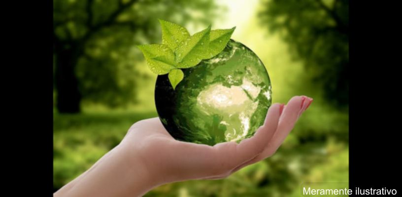 Peça teatral infantil sobre sustentabilidade