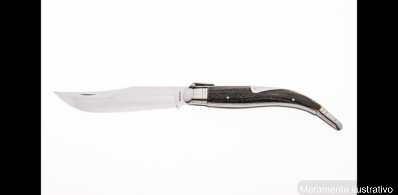 Violência Doméstica em Mauá da Serra