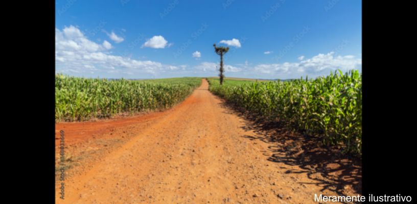 Pavimentação da Estrada do Búfalo em Kaloré