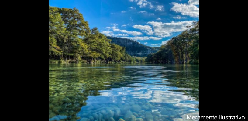 O Paraná se prepara para enfrentar uma intensa onda de frio com previsão de geada negra e temperaturas negativas.