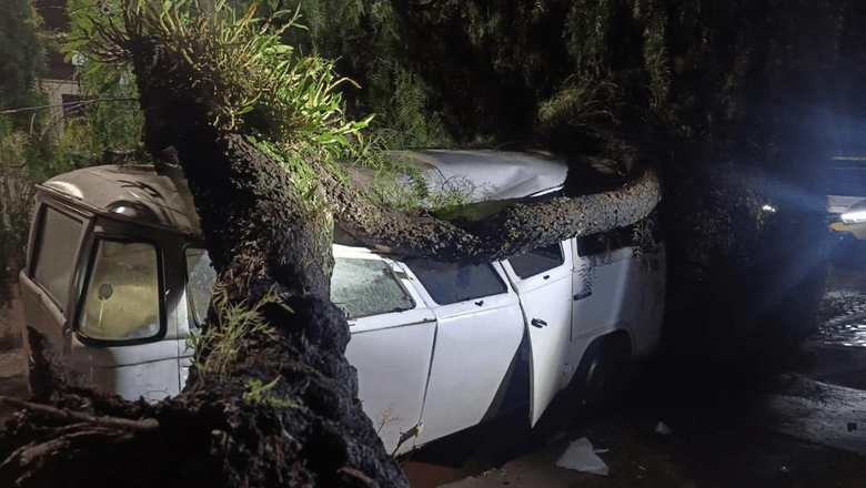 Kombi destruída por árvore em Ivaiporã