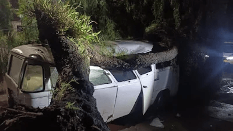 Kombi atingida por árvore em Ivaiporã