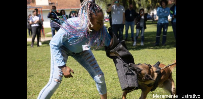Homem atacado por cães em Bom Sucesso