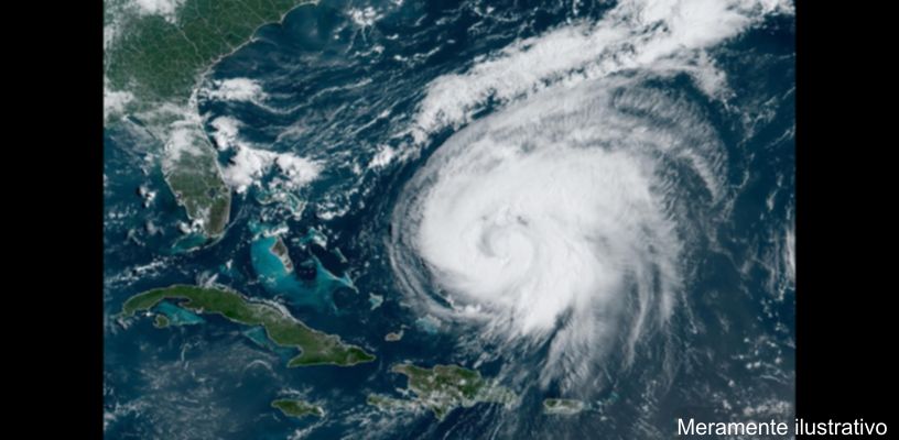 Kombi danificada por queda de árvore