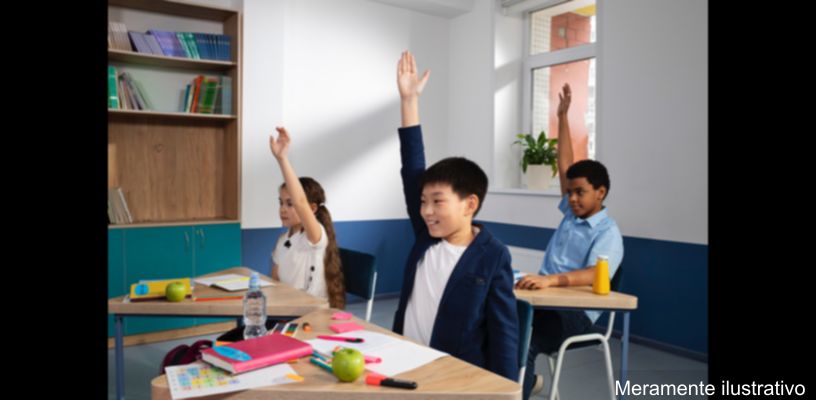 Professores atuando como examinadores de trânsito em Minas Gerais