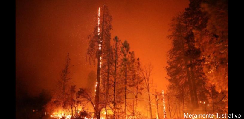 Incêndio em campo desativado em Jardim Alegre
