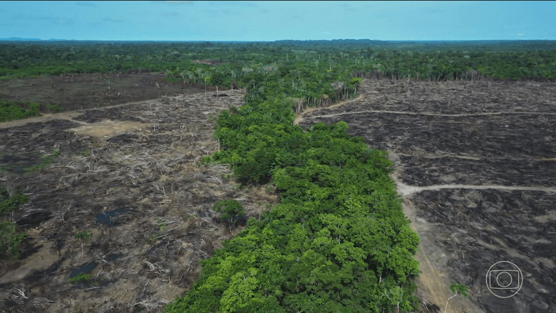 Imagem ilustrativa da Crise Ambiental