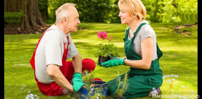 Curso de jardinagem em Jardim Alegre