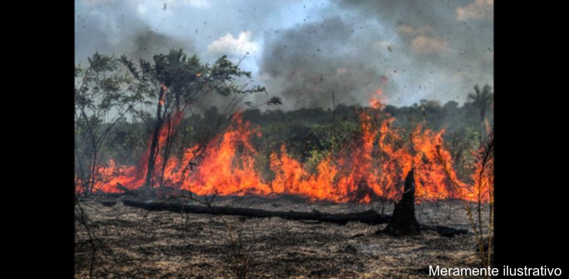 Incêndio em Faxinal
