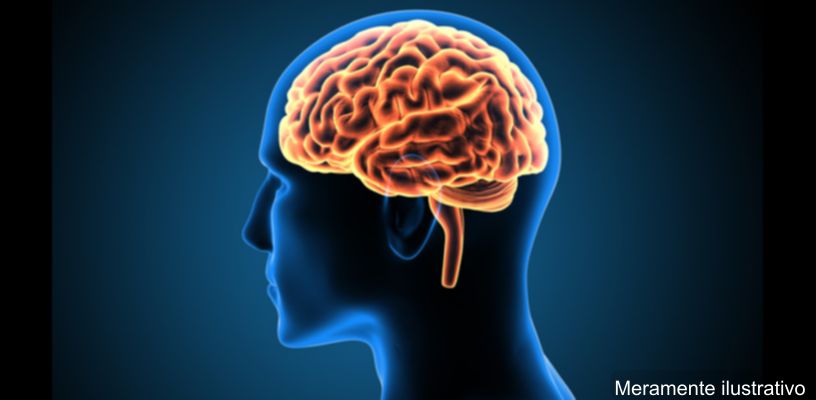 Vírus da hepatite C no cérebro