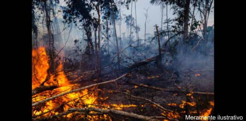 Propriedade rural em Novo Itacolomi
